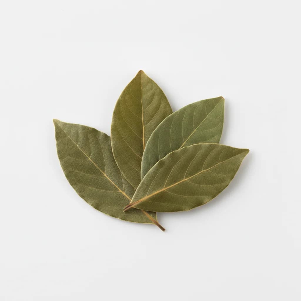 Spice category represented by Bay leaf
