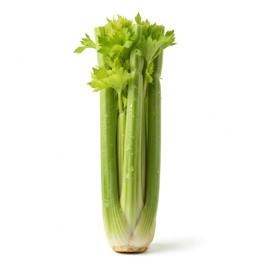 Celery